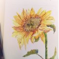 Image client Bloc aquarelle aquarelle 360 x 480 mm