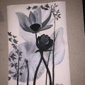 Image client Peinture acrylique Sennelier Abstrait 120ml - Blanc de titane (116)