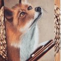 Image client Crayon pastel PITT - 180 Terre d'Ombre Brute