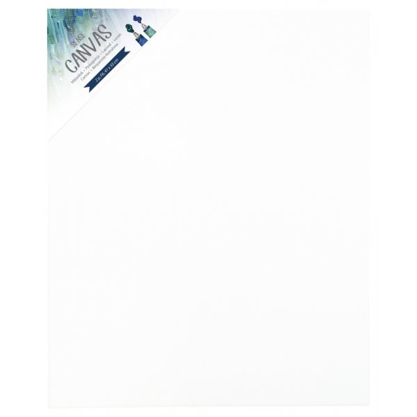 Lot de 2 toiles Canvas Sense - F8 46x38 cm
