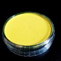Image client PanPastel - Jaune Hansa