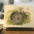 Image client Peinture aquarelle W&N Cotman Demi-tasse - 314 Feu vert de Hooker