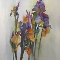 Image client Vernis aquarelle mat - 75 ml