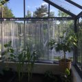 Image client Tissu Tulle Blanc - 150 cm