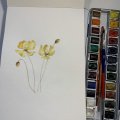 Image client Peinture aquarelle W&N Cotman Demi-tasse - 266 Teinte Gamboge