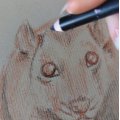 Image client Set de crayons à huile Cretacolor - 6 crayons