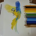 Image client Pinceaux aquarelle Sense - 5 pinceaux