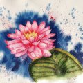 Image client Peinture aquarelle W&N Professional Tube 5ml - 502 Rose permanente