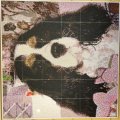 Image client Film autocollant Photo Pearls® 15 x 15 cm - paquet de 8. double face
