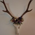 Image client Sel pour sécher les fleurs - 1 000 ml