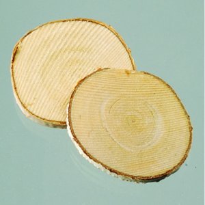 Plateau en bois ø 3-5 cm - non traité Plateau en bois ø 3-5 cm - non traité