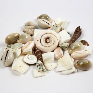 Coquillages de plage - 120 g Coquillages de plage - 120 g