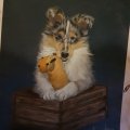 Image client Crayon pastel PITT - 233 Cold Grey IV
