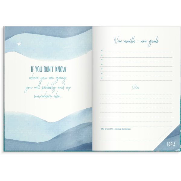 C'est mon année C'est mon année