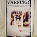Image client Mod Podge - 946 ml mat