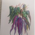 Image client Bloc aquarelle aquarelle 360 x 480 mm