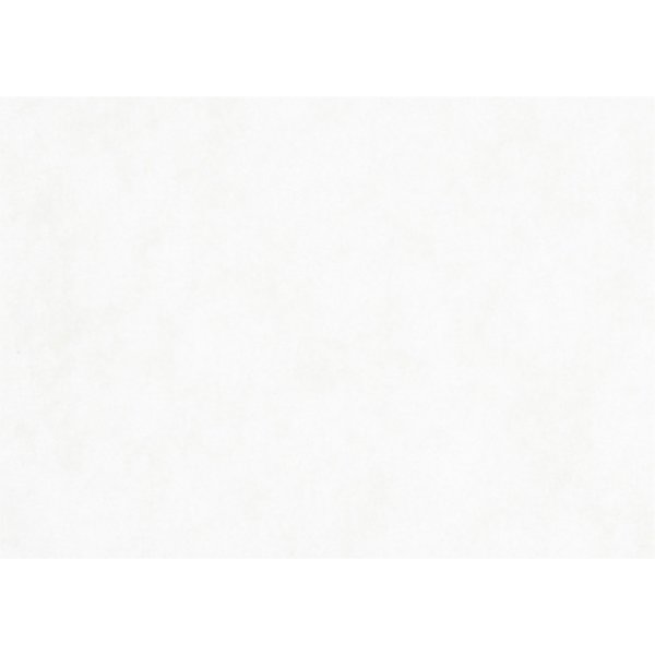 Papier aquarelle - blanc - A2 - 300 g - 100 feuilles Papier aquarelle - blanc - A2 - 300 g - 100 feuilles