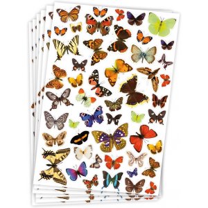 Autocollants papillons - 300 pcs Autocollants papillons - 300 pcs