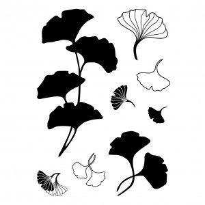 Tampon à motif - Ginkgo Tampon à motif - Ginkgo