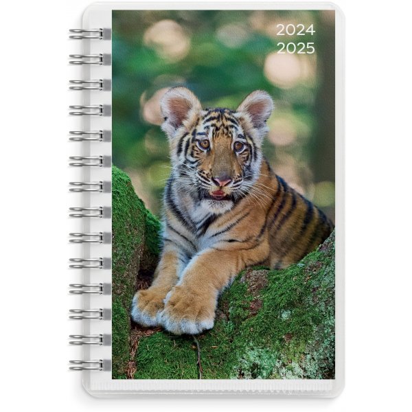 Calendrier 24/25 Compact - Animaux Calendrier 24/25 Compact - Animaux