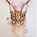 Image client Canson XL Aquarelle 300g - A3