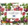 Crayons de couleur Sense - 36 crayons Crayons de couleur Sense - 36 crayons