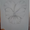 Image client Carnet de croquis 80g Sense FSC - A5 70 feuilles