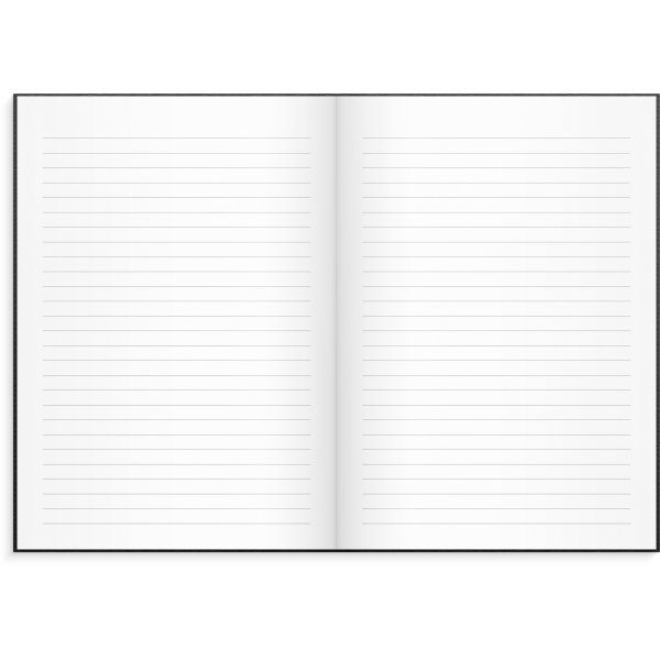 Calendrier 24/25 Snateur - A5 - Vega