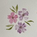 Image client Peinture aquarelle W&N Professional Demi-tasse - 491 Mauve permanent