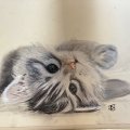 Image client Canson Mi-Teintes Papier Pastel Terre 160g - 32x41 cm