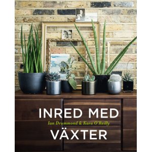 Intérieur avec des plantes Intérieur avec des plantes