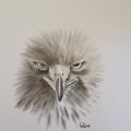 Image client Papier calque - A4 - 100 pages