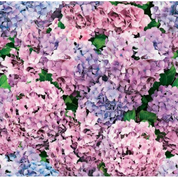 Toile cire - Hortensia