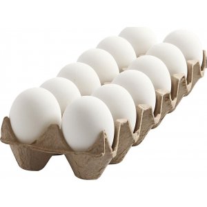 Oeufs en plastique - Blanc - 12 pcs Oeufs en plastique - Blanc - 12 pcs