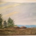 Image client Peinture aquarelle W&N Cotman Tube 8ml - 676 Vandyke brown