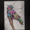 Image client Encre 33 ml - Noir