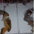 Image client Peinture acrylique Sennelier Abstrait 120ml - Cuivre Irisé (036)