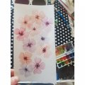 Image client Peinture aquarelle W&N Cotman - Coffret Sketcher's 12 couleurs