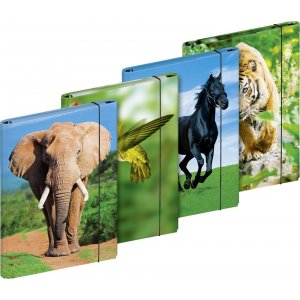 Dossier - A4 Animaux Dossier - A4 Animaux