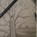 Image client Crayons graphite Progresso - 6B