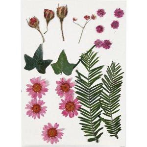 Fleurs et feuilles séchées - rouge vif Fleurs et feuilles séchées - rouge vif