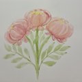 Image client Peinture aquarelle W&N Cotman Tube 8ml - 095 Teinte Rouge Cadmium
