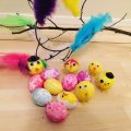 Image client Becs de poulet 100 pcs