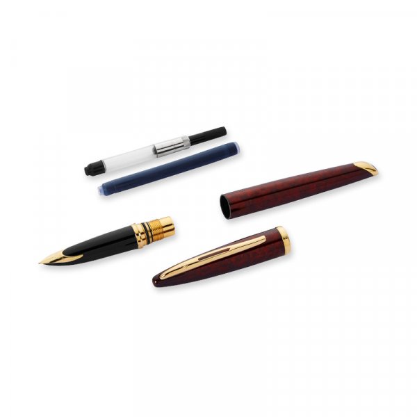 Stylo plume Waterman Carne Marine Ambre - Garniture Dore - Bleu Moyen