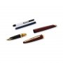 Stylo plume Waterman Carne Marine Ambre - Garniture Dore - Bleu Moyen