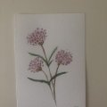 Image client Coffret aquarelle L&B en Métal - 12 Gobelets