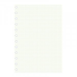 Recharge pour Carnet Filofax - A4 Recharge pour Carnet Filofax - A4