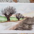 Image client Set de pinceaux - Aquarelle n°2 (5 pcs)