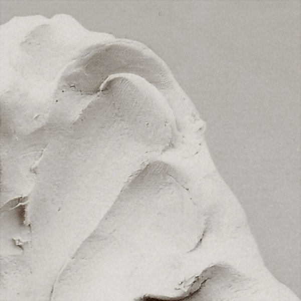 Argile Autodurcissante - blanche - 1000 g