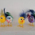 Image client Pieds de poulet 25 paires